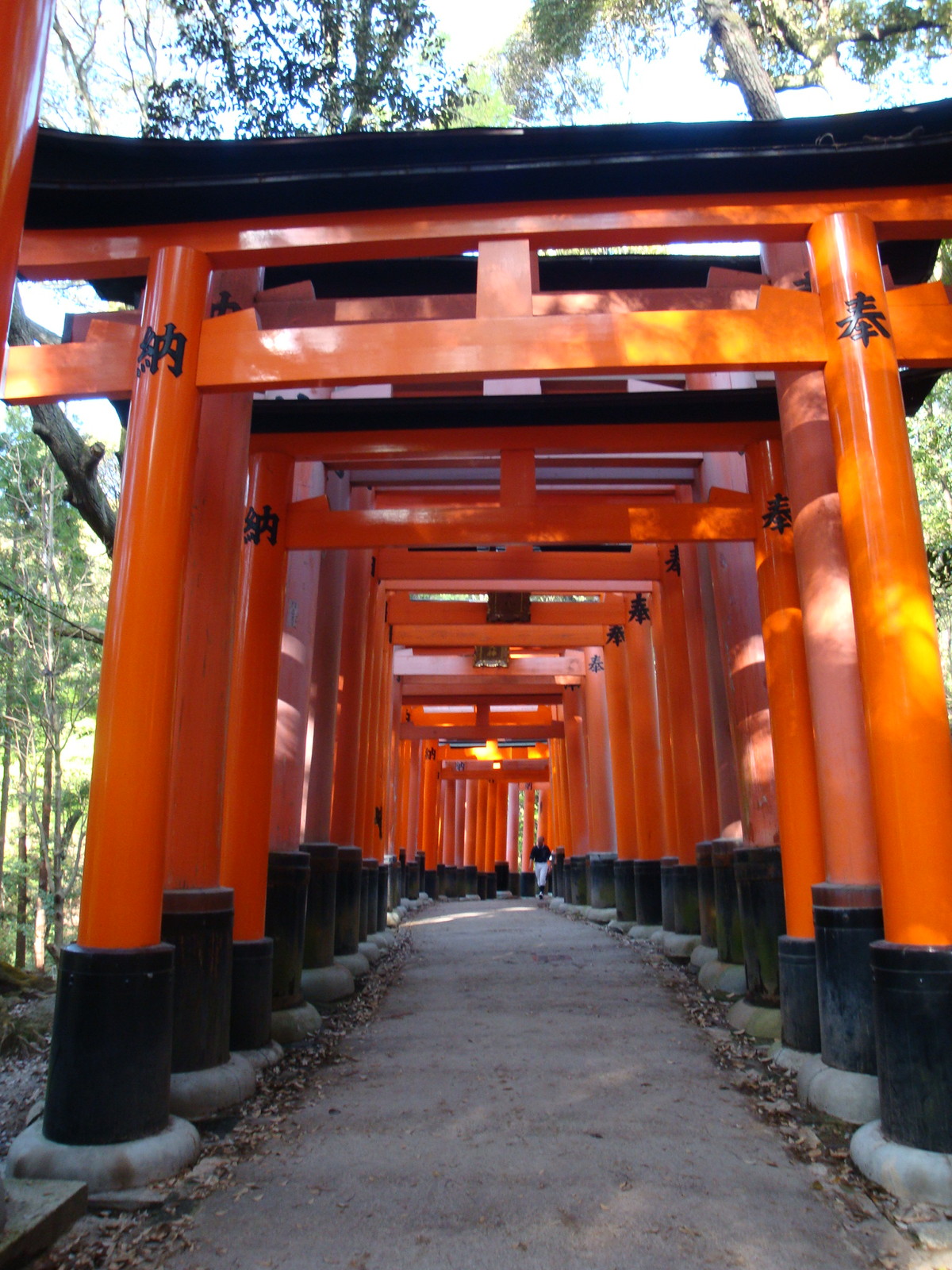 Kyoto Fushimi Inari taisha